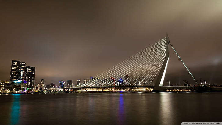 Erasmus Bridge Rotterdam Netherls, lights, city, night, nature and landscapes