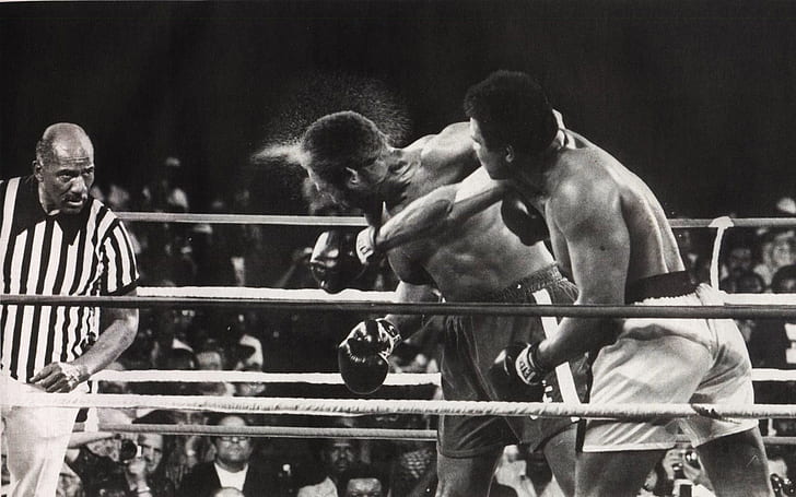 Muhammad Ali Hit, HD wallpaper