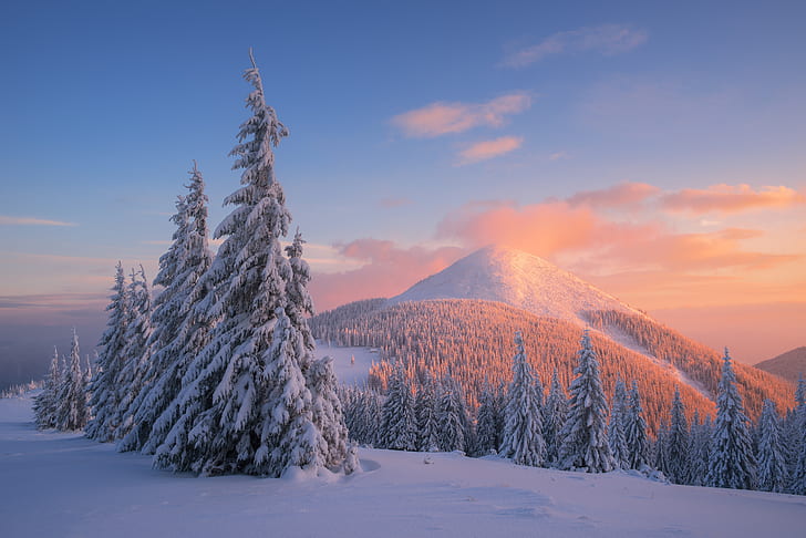 Carpathian Mountains, 4K, Snow, Pine trees, Winter, Sunset, HD wallpaper