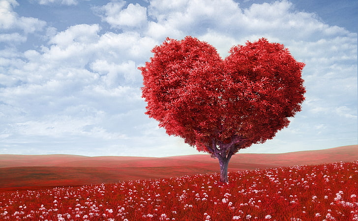 Valentines Day 2014, heart-shaped red leafed tree, Holidays, Valentine's Day