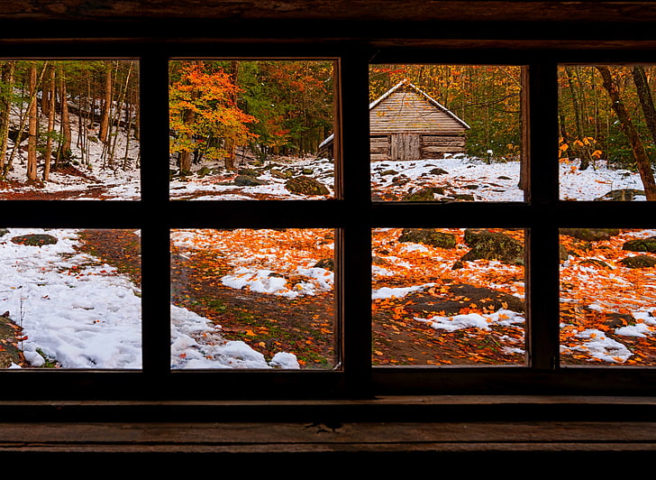 brown wooden house, nature, forest, window, fall, snow, winter, HD wallpaper