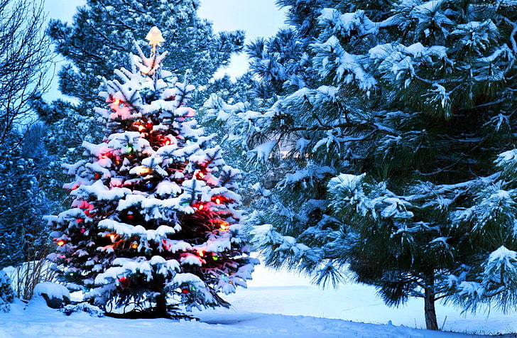 Christmas tree, lights, holidays, nature, snow, New Year, Santa