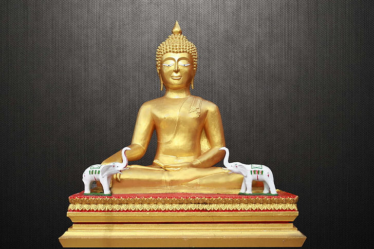 asia, buddhism, buddhist, enlightenment, fig, gold, golden buddha, HD wallpaper