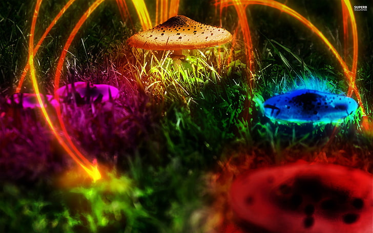 psychedelic, mushroom, close-up, multi colored, no people, selective focus, HD wallpaper