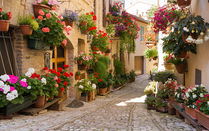 Street with flowers, city, greece, HD wallpaper
