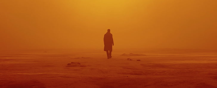 cinema, movie, film, Ryan Gosling, Blade Runner, Blade Runner 2049, HD wallpaper