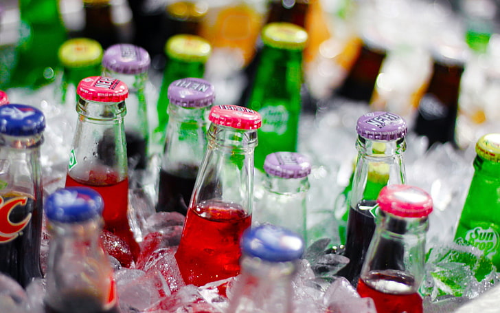 beer, bottles, alcohol, ice, choice, large group of objects, HD wallpaper
