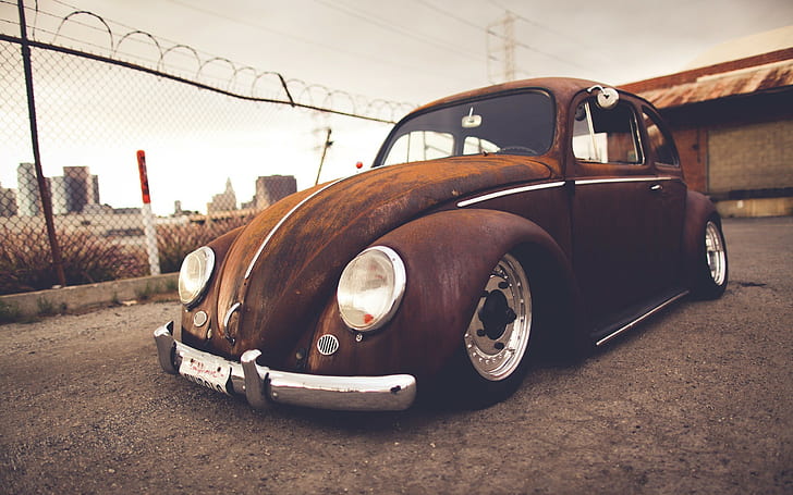 brown Volkswagen Beetle car, transportation, mode of transportation