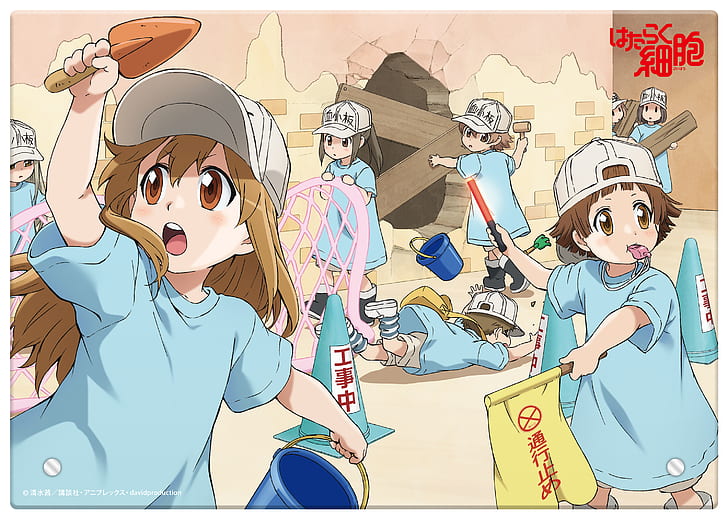 Cells at Work Red Blood Cell Platelet White Blood Cell HD 4K Wallpaper  #5.3003