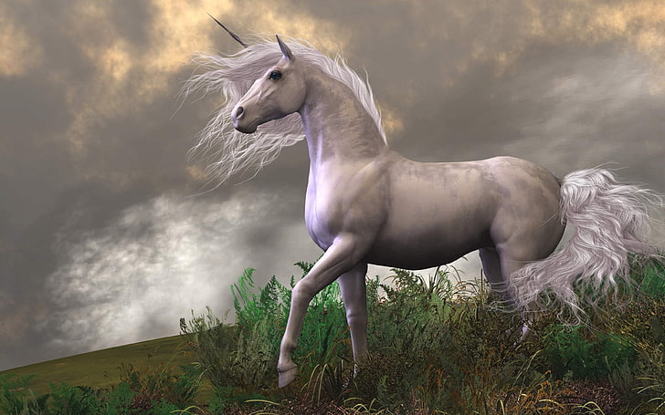 Unicorn White Horse From Mountain Fantasy Art Desktop Hd Wallpapers For Mobile Phones And Computer 3840×2400, HD wallpaper