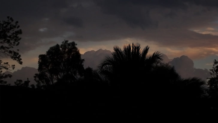 silhouette of trees, landscape, nature, dark, palm trees, clouds, HD wallpaper