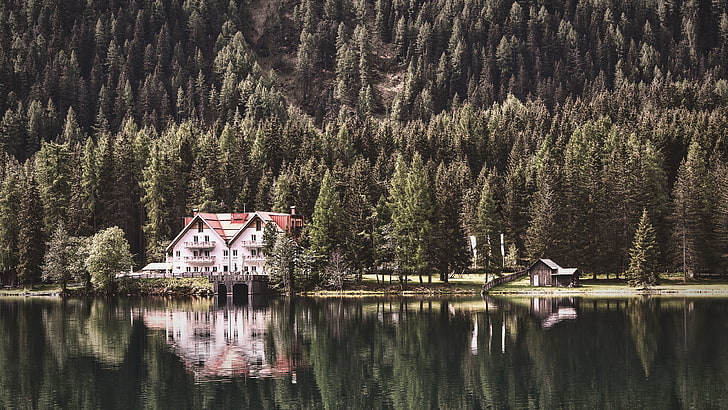 lakeside, resort, forest, mountain lake, hotel, house, antholzer see, HD wallpaper