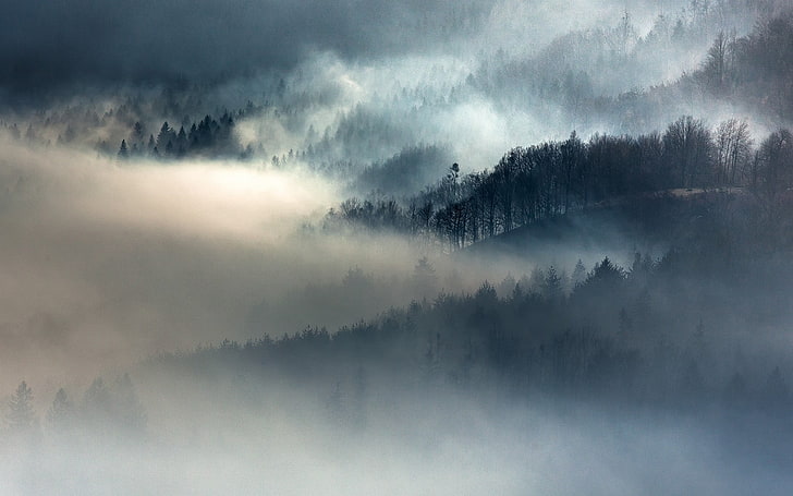 snow covered mountain, mountain covered with fogs, nature, landscape