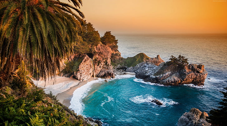 Pacific Ocean, Big Sur, California, Beach HD Wallpaper, green leafed tree, HD wallpaper