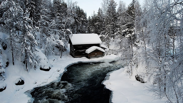 nature, snow, ice, river, cabin, trees, cold temperature, winter, HD wallpaper