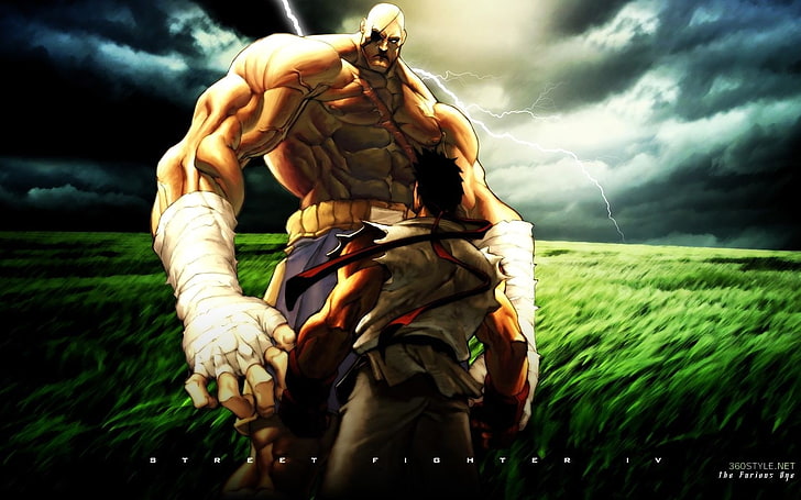 street fighter ryu sagat 1440x900  Video Games Street Fighter HD Art, HD wallpaper