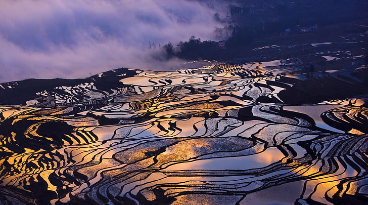 blue and white floral textile, terraced field, rice paddy, environment