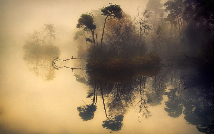 body of wateer, reflection of trees illusion, nature, landscape