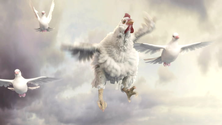 Fable, Chicken, dove, sky, animals, Fable 3, HD wallpaper
