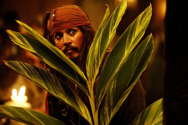HD wallpaper: Pirates Of The Caribbean, Pirates Of The Caribbean: Dead  Man's Chest | Wallpaper Flare