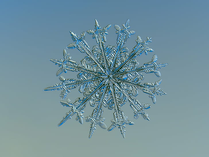 silver Snowflakes decor, macro, twelve months, photo, snow  crystal