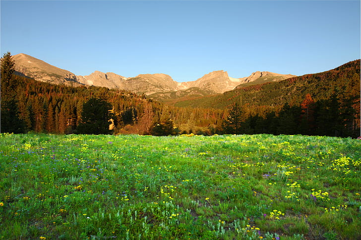 green grass field during daytime, rocky mountain national park, rocky mountain national park, HD wallpaper