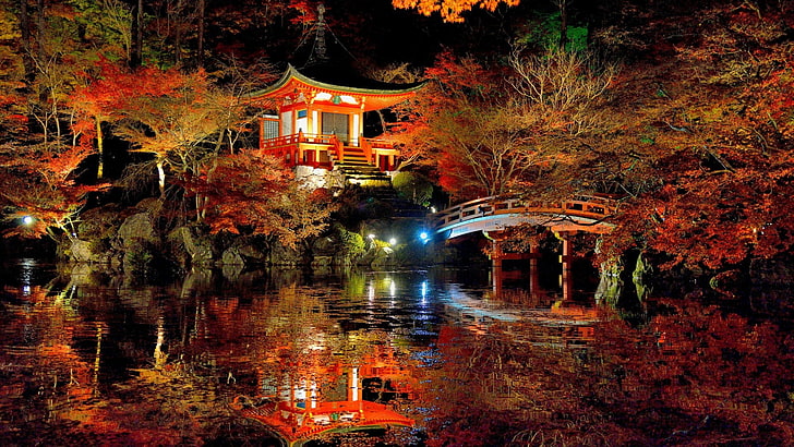 red and white pagoda, red pagoda during night, nature, trees