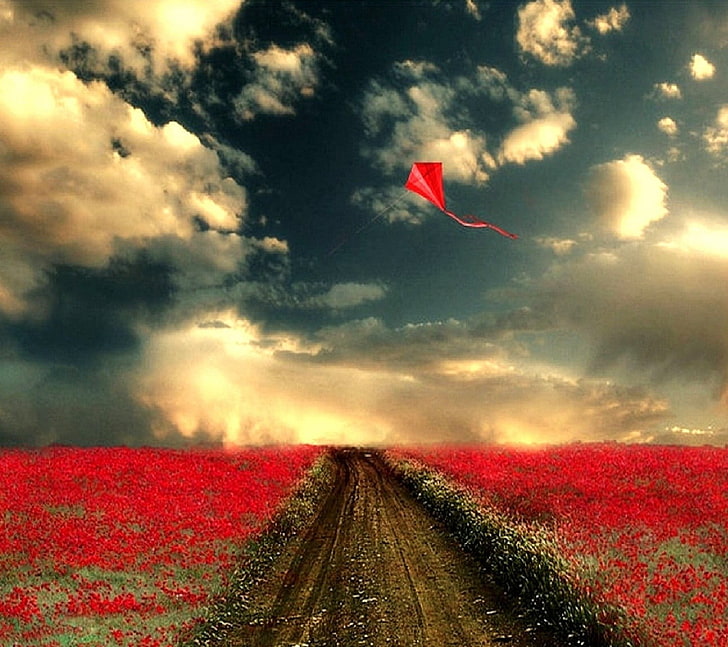 black and red abstract painting, digital art, field, sky, clouds, HD wallpaper