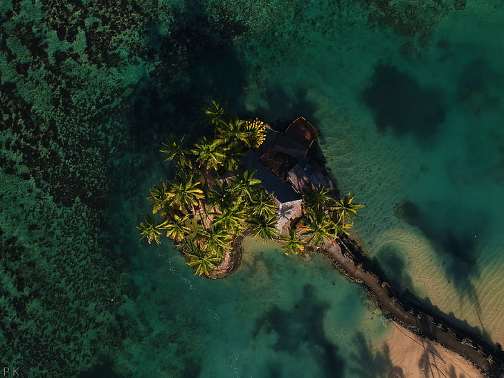 islet and coconut trees, nature, landscape, Fiji, Warwick, path, HD wallpaper