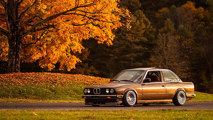 BMW, car, Vintage car, BMW 3 Series, fall, autumn, transportation, HD wallpaper
