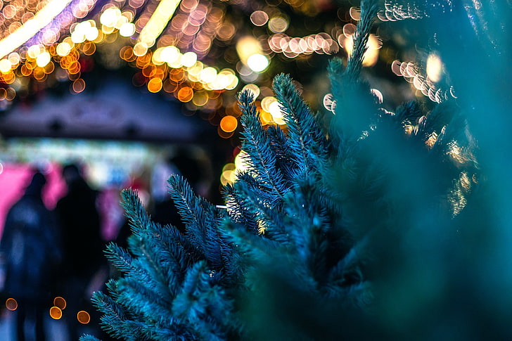 urban, christmas lights, illuminated, decoration, celebration