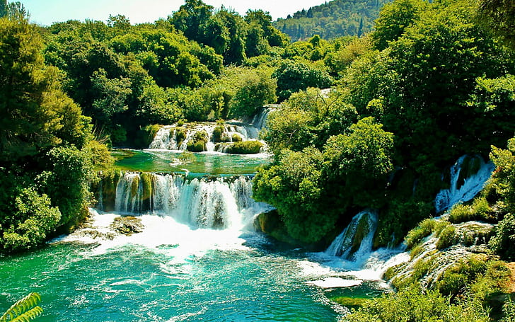 Krka National Park, Croatia, green trees near waterfalls, HD wallpaper