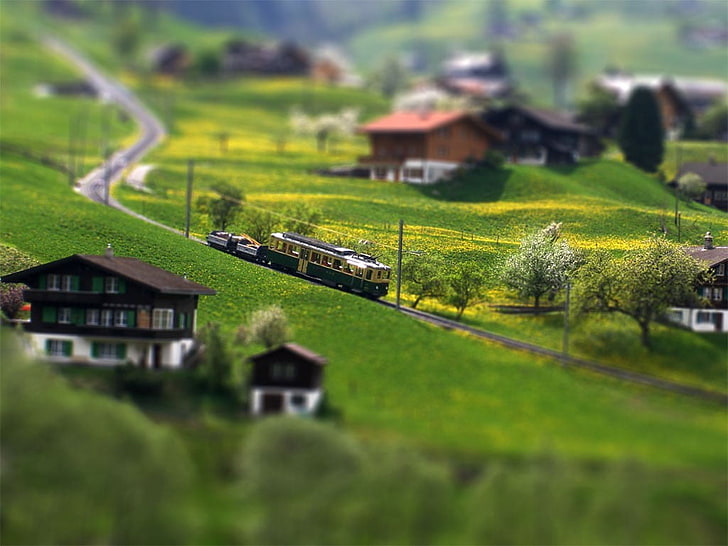black and brass train miniature, miniature photography of white and black train between green grass field and houses