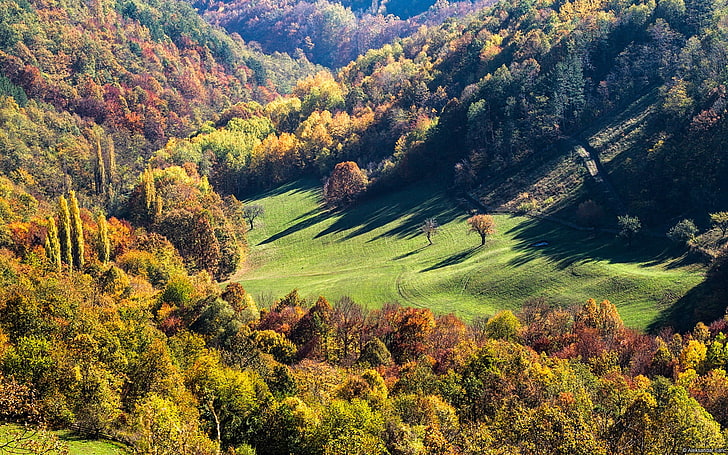 Gledic alpine meadow Serbia-Windows Theme Wallpape.., green grass field