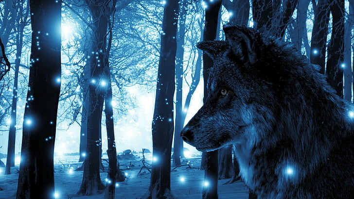 fantasy art, wolf, lights, animals, landscape, blue, trees, HD wallpaper
