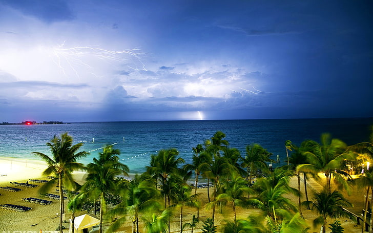 green coconut trees, nature, landscape, clouds, lightning, storm, HD wallpaper