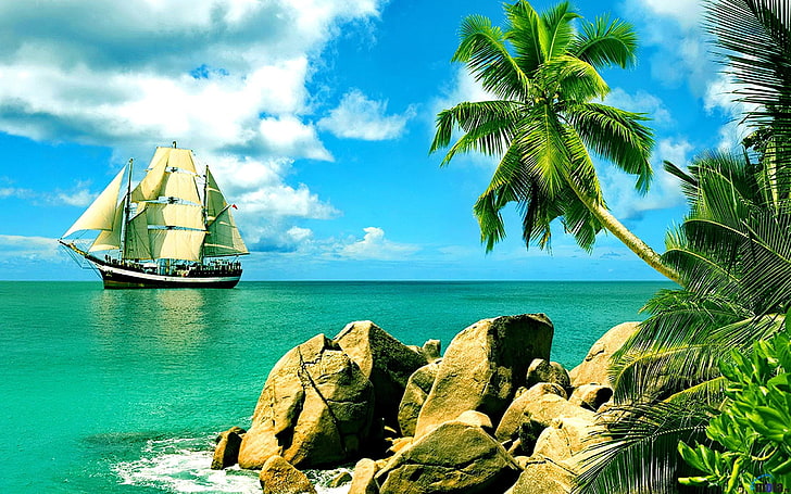white and brown ship, tropical, palm trees, nature, clouds, sea