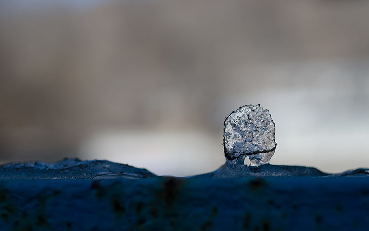 water dew, ice, nature, dirt, winter, selective focus, close-up