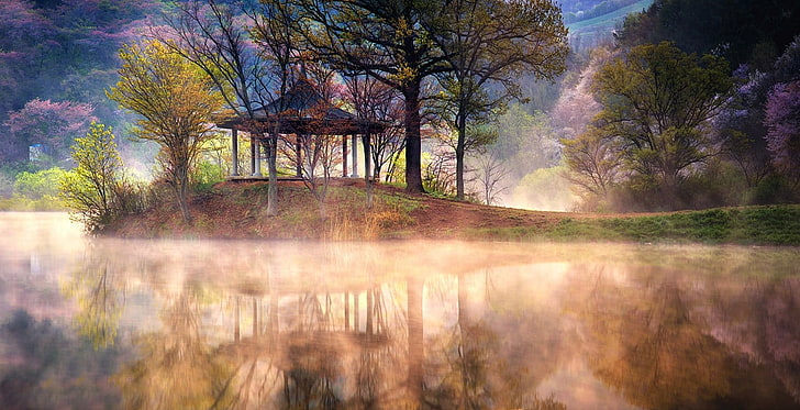 brown gazebo, lake, mist, reflection, spring, trees, water, nature, HD wallpaper