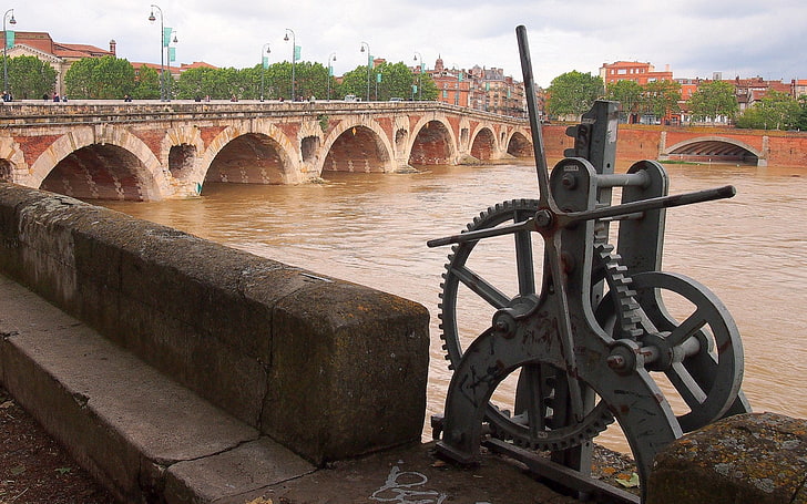 1920x1200 px France Garonne Neuf Pont Toulouse Animals Frogs HD Art