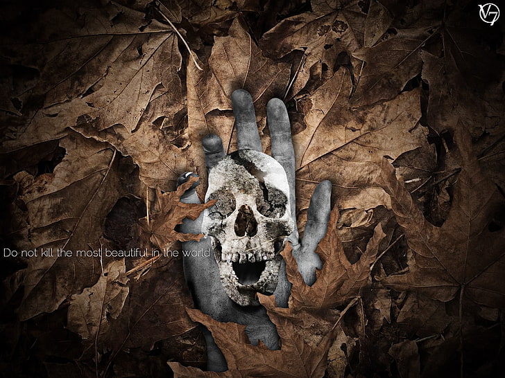gray hand with skull print wallpaper, nature, death, leaves, photo manipulation