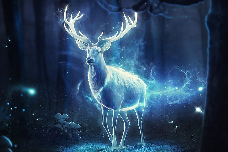 HD wallpaper: Fantasy Animals, Deer, Magic, Spirit | Wallpaper Flare