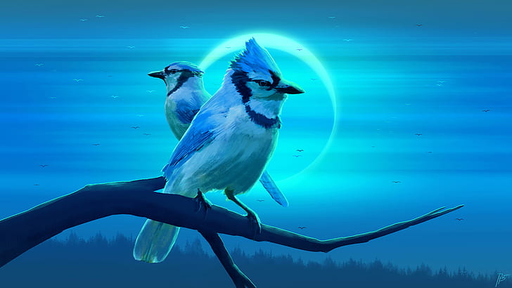 Birds, Blue Jay, HD wallpaper