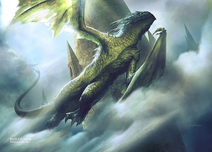 gray dragon digital wallpaper, fantasy art, Wyvern, animal themes