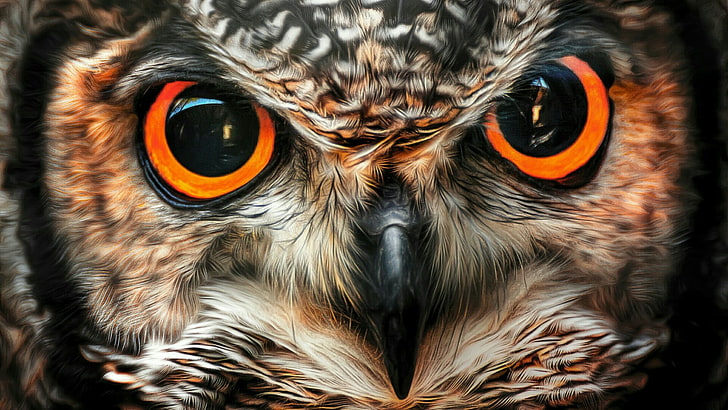 eagle owl, beak, fauna, close up, bird of prey, wildlife, eyes