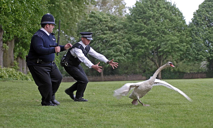 trees grass police swans hot fuzz simon pegg nick frost Nature Trees HD Art