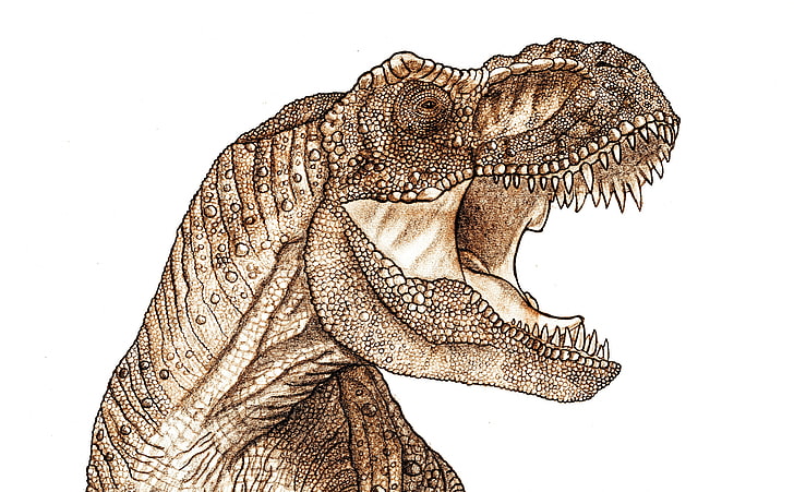 Tyrannosaurus Rex head illustration Stock Photo  Alamy