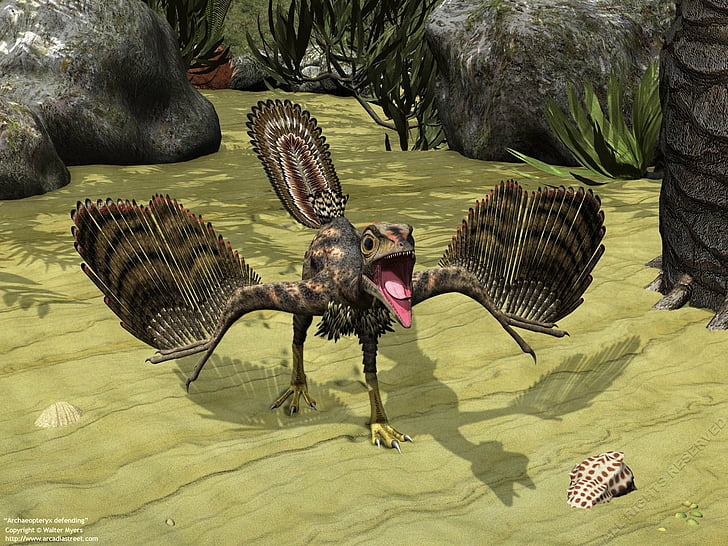 Animal, Archaeopteryx, HD wallpaper