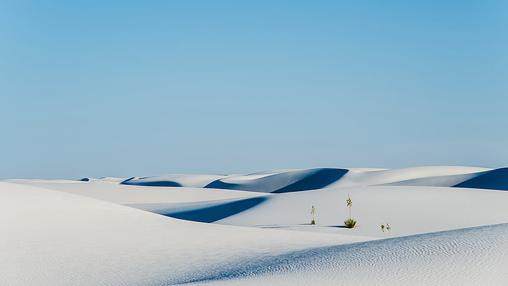desert, sand, dunes, plants, landscape, blue, sky, copy space, HD wallpaper