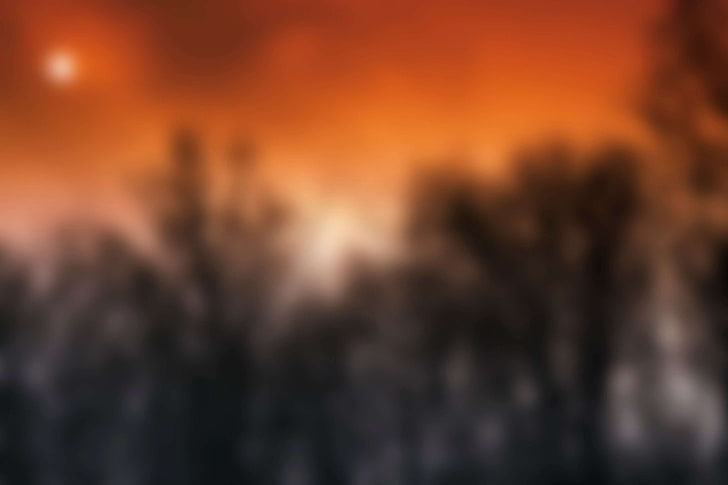 HD wallpaper: background, blur, blurred, nature, trees, fire, no people,  fire - natural phenomenon | Wallpaper Flare